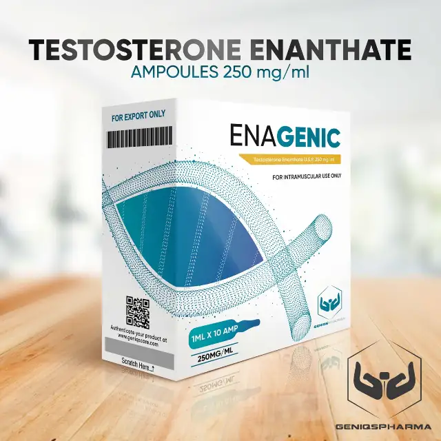 Enantato Testo